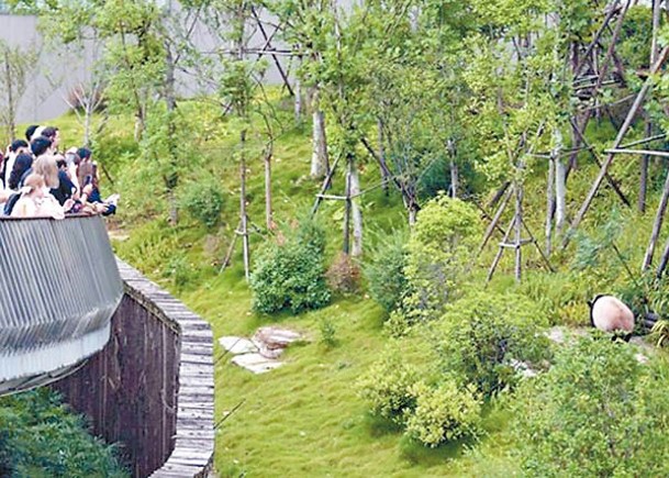 涉事遊客遭終身禁止再次進入參觀大熊貓繁育研究基地。