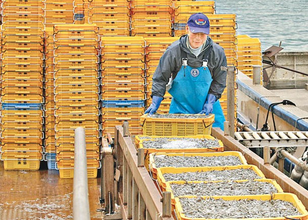 俄羅斯禁進口日本水產品。（Getty Images圖片）