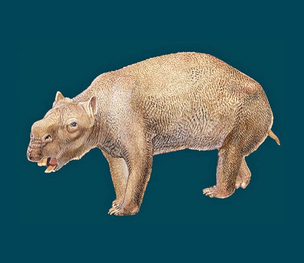 雙門齒獸是已絕種的遠古生物。圖為畫家筆下的雙門齒獸畫像。