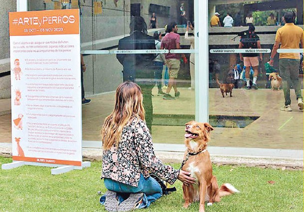 民眾能攜同狗狗參與藝術展。