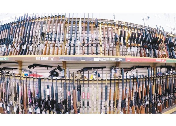 美國暫停向非政府機構批出美製民用槍械出口許可。