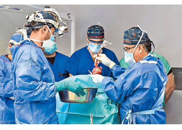 排斥反應是器官移植手術最大挑戰。