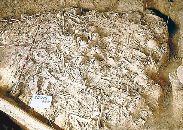 洞穴集體墓葬中出土多具遺骸。