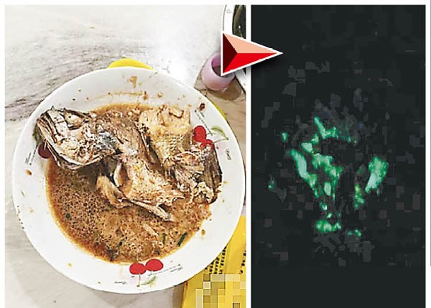網民發現家中吃剩的紅燒魚發出綠色螢光。