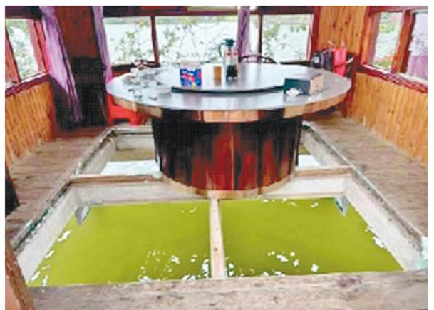 餐廳玻璃地板突爆裂，蘇漢庭落入水中溺斃。