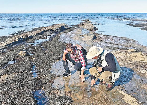 海浪衝擊岩石現足迹  記錄南半球最早鳥類