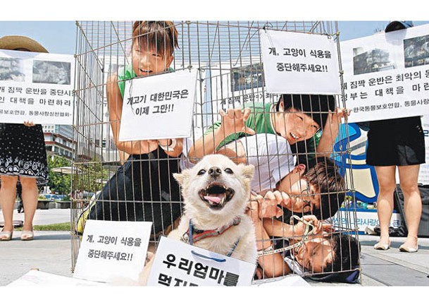 南韓擬2027年起禁食狗肉