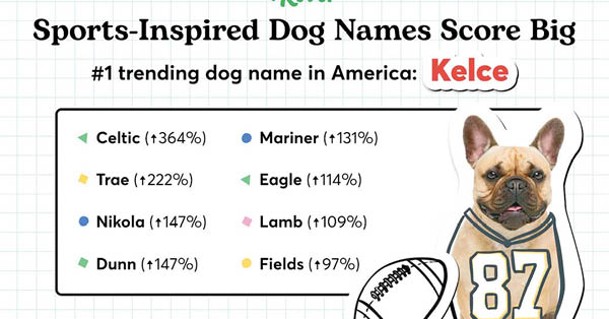 凱爾斯成最受歡迎寵物名。