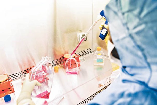 研究人員在實驗室中培育患者的細胞。