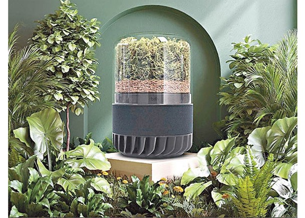 潮流創意：植物過濾器  「靜」化空氣
