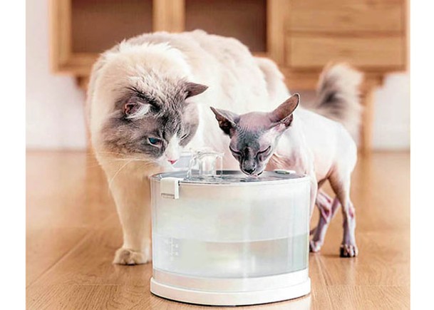 潮流創意：噴泉飲水機  貓咪免觸電