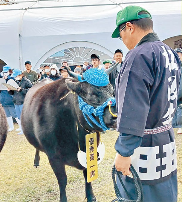 雌性松阪牛「Hirokono 1」以高價賣出。