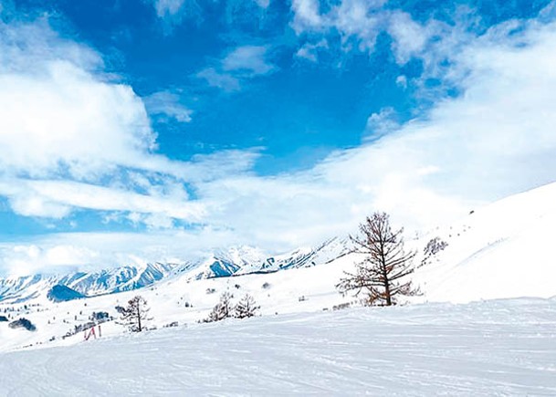新疆過往下雪後只見一片白茫茫景色。