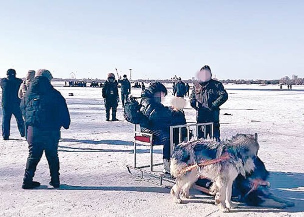 有遊客反映拉雪橇的狗隻精神委靡不振。