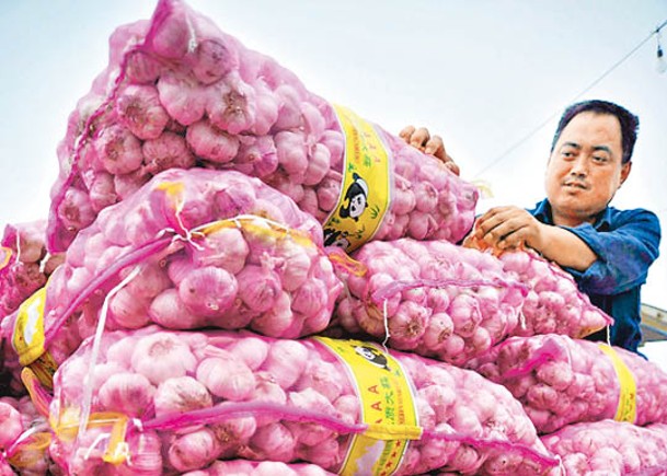 美國從中國進口大蒜。（Getty Images圖片）