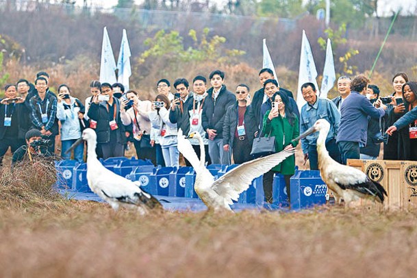 （中新社圖片）