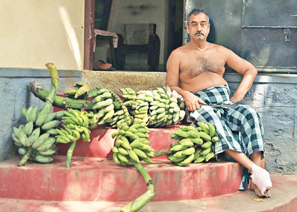 印度男回鄉  種出逾500款香蕉
