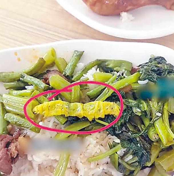 蔬菜內有一條疑似青蟲（紅圈示）。