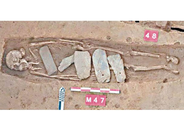 考古人員研究蘇羊遺址墓葬。