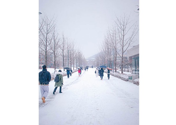 首爾延世大學地面鋪上一層白雪。