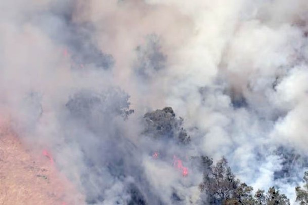 西澳省多地發生山火。