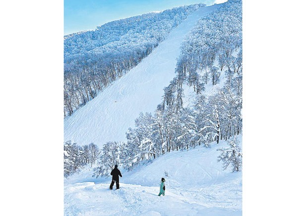 事主在北海道滑雪期間埋在雪中窒息死亡。