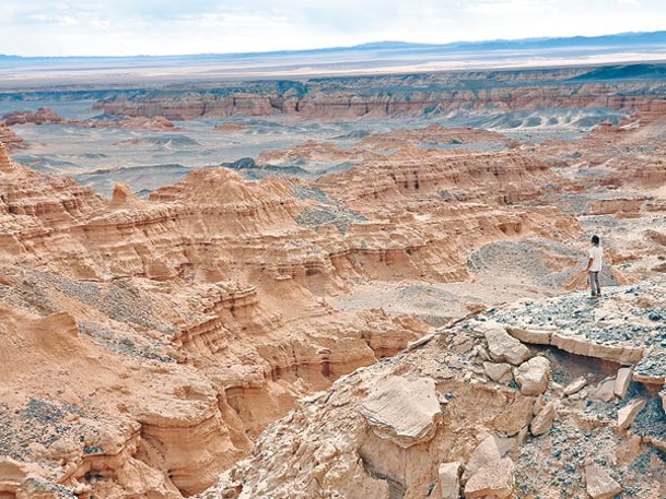 團隊在蒙古戈壁沙漠挖掘恐龍化石。