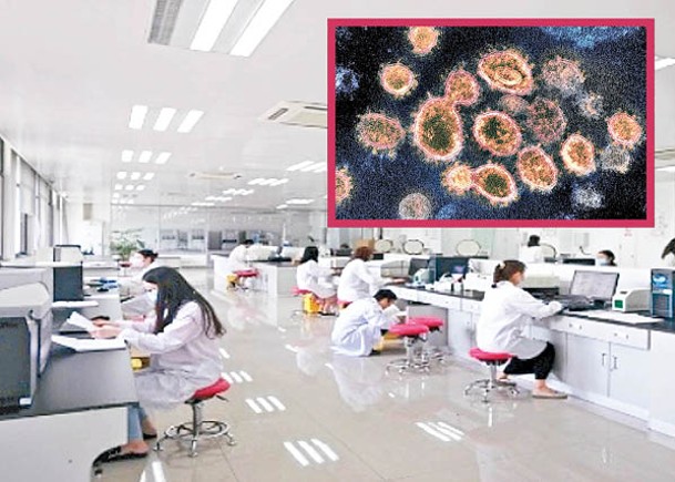 南京大學醫學院醫藥生物技術國家重點實驗室參與研究新冠病毒（小圖）。