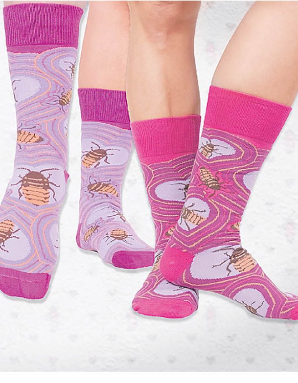 禮包包括印有蟑螂圖案的襪子。