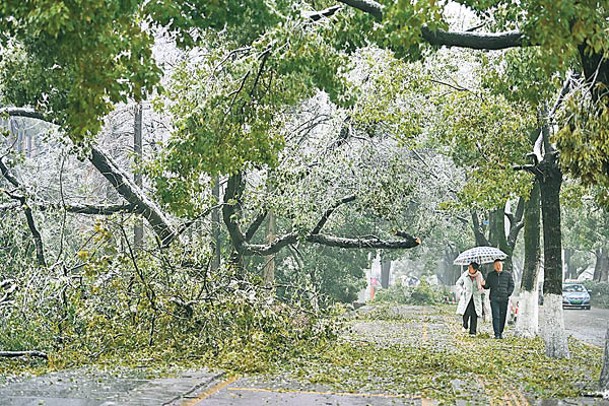 多地在農曆新年前經歷雨雪天氣。（中新社圖片）