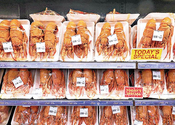 澳洲希望中國解除龍蝦進口限制。（Getty Images圖片）