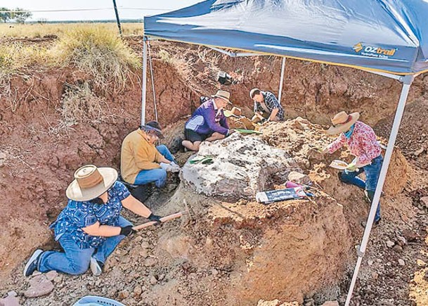 研究人員在牛場中挖掘出薄板龍的化石。