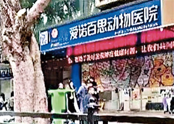 廣州市涉事動物醫院暫停營業。