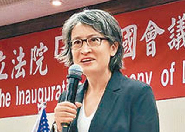 蕭美琴提出爭取美國不分黨派支持台灣。