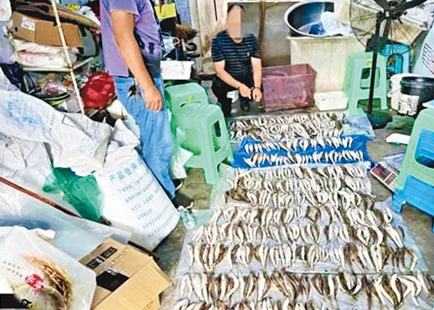 四川破捕撈野生魚團夥  拘20人