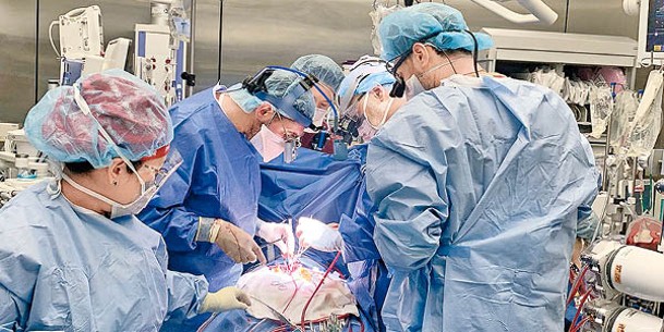 醫療團隊在手術過程中全神貫注。