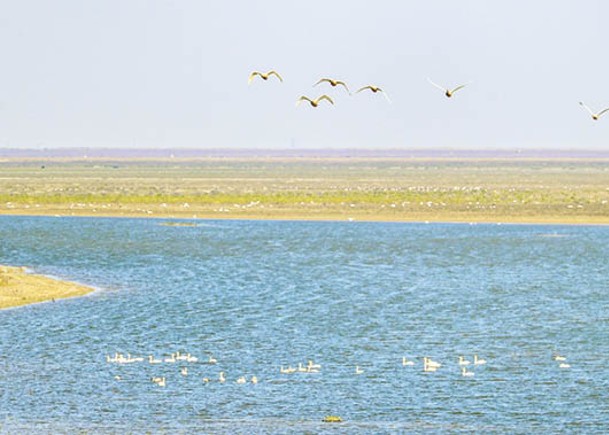 鄱陽湖水位持續上漲至12米