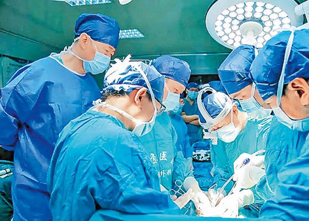 醫護人員將基因編輯豬肝移植到腦死亡患者體內。