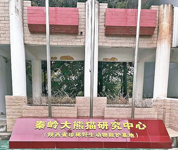 秦嶺大熊貓研究中心決定閉園整頓。