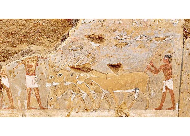 4300年前墳墓壁畫  彩繪生活景貌