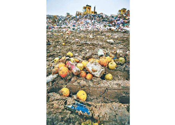 大部分浪費食物由家居造成。（Getty Images圖片）