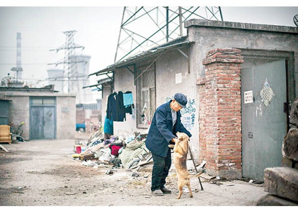內地不少長者喜歡養狗，排解孤獨。（Getty Images圖片）