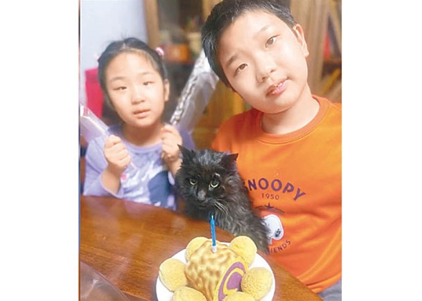 老貓21歲生日  主人製長壽麵慶祝