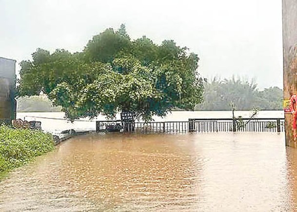 梅江續降雨  將現5年一遇洪水