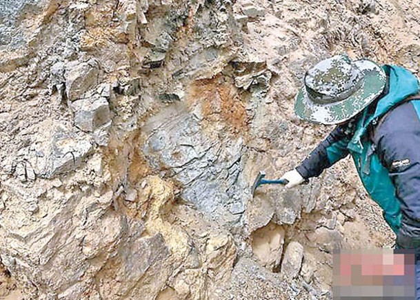 青海柴達木發現大型金礦。
