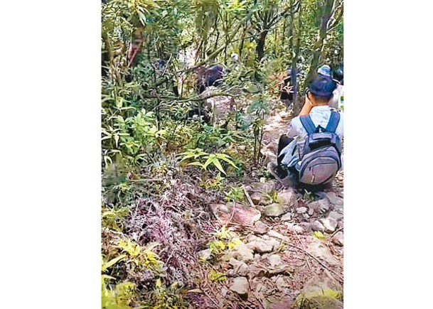 七娘山發生登山奪命事故。