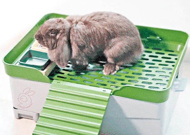 潮流創意：兔糞收集箱  堆肥環保