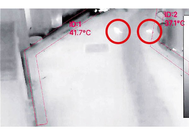 新加坡試行通過熱能監測老鼠行蹤；圖中白色亮光處（紅圈示）顯示有鼠群出沒。