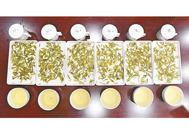首個龍井茶國家標準樣品發布