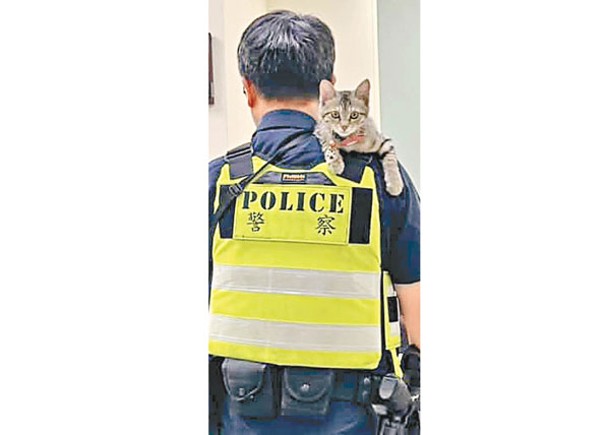 台中貓貓警員走紅